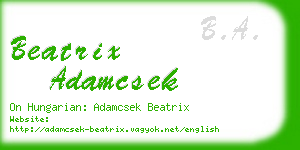 beatrix adamcsek business card